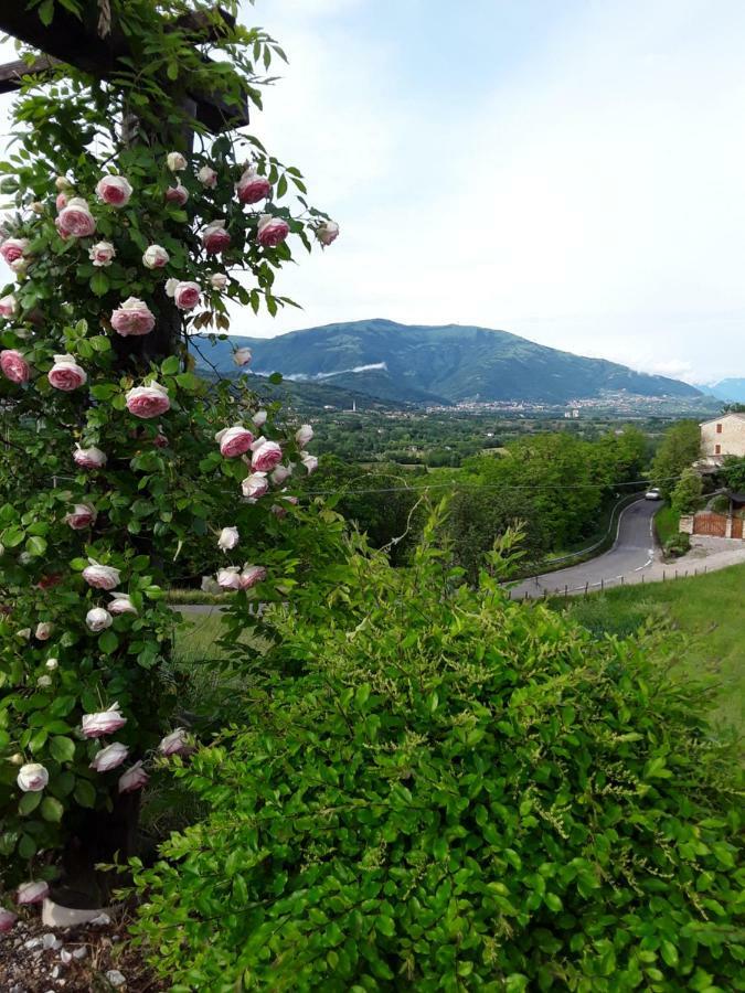 Locanda Bellavista Cavaso Del Tomba ภายนอก รูปภาพ